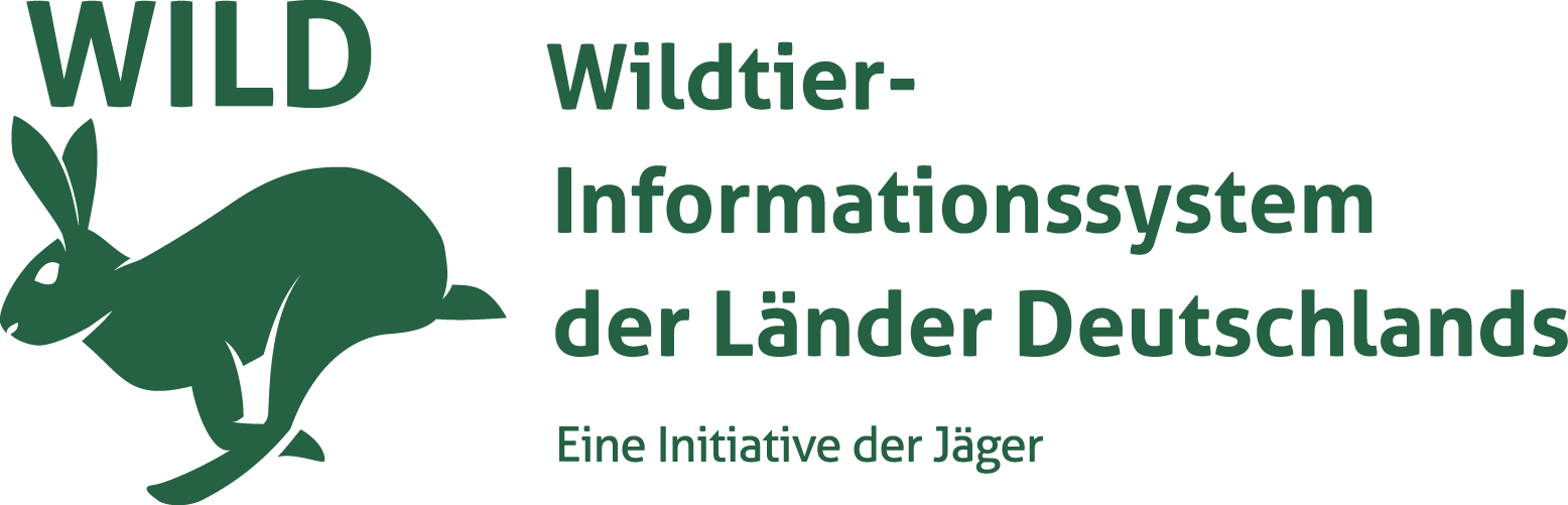 Wild Logo